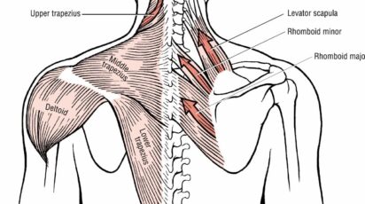 Dor na Escápula: 8 Causas Mais Comuns e Como Identificar Cada Uma para Alívio Eficaz 2 DOR NAS ESCAPULAS