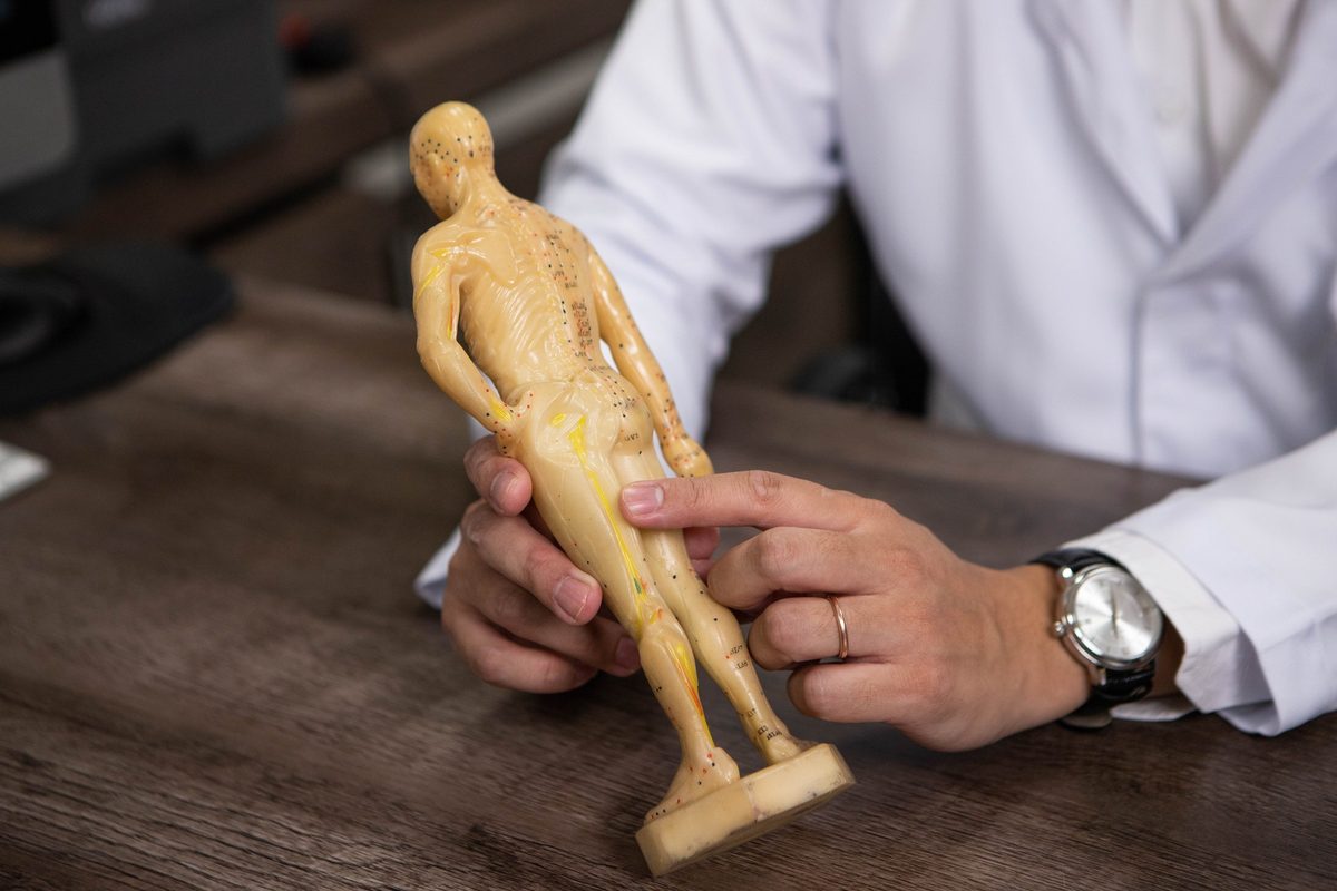 Mãos do médico indicando um ponto em um boneco de acupuntura sobre a mesa