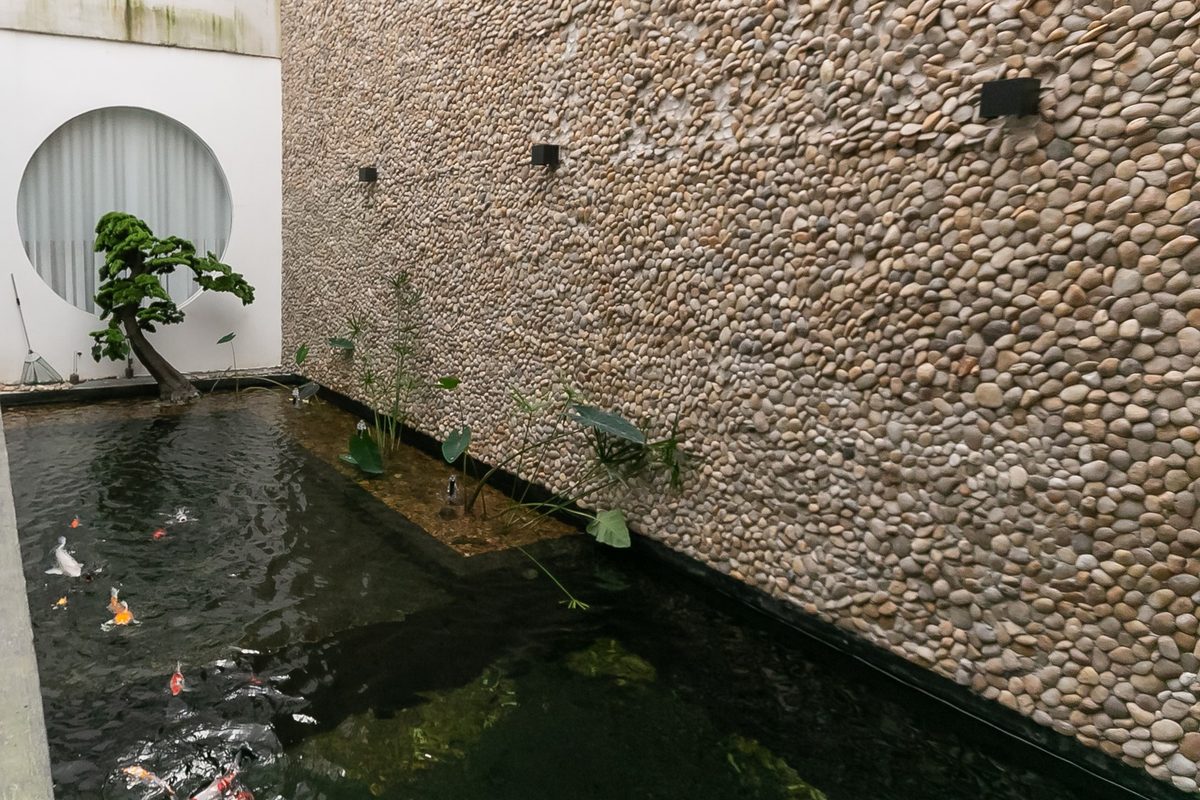 Espelho d'água com carpas ao lado de uma parede de seixos, na clínica