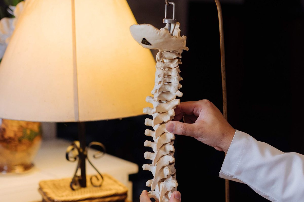 Mãos do médico segurando um modelo anatômico da coluna vertebral ao lado de um abajur