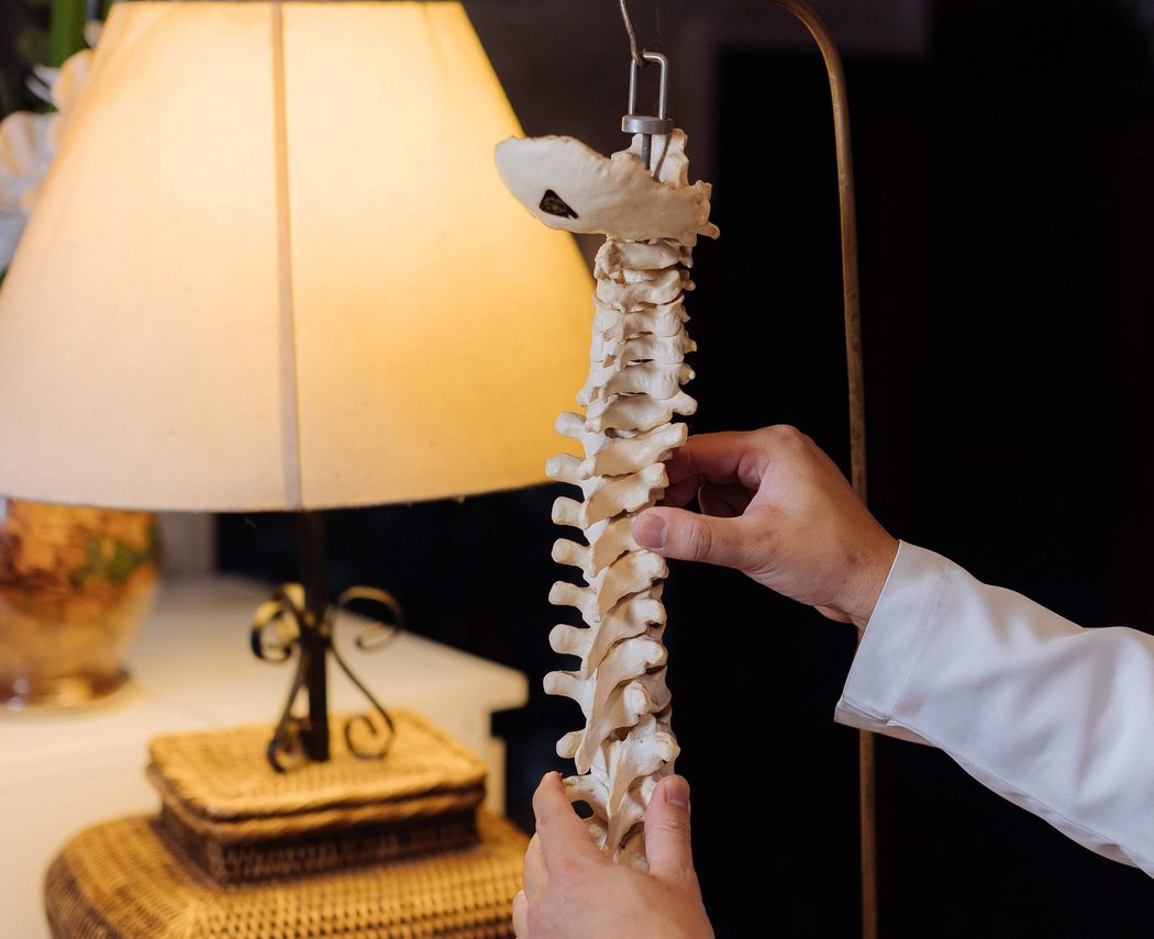 O médico segura um modelo anatômico da coluna vertebral pendurado em um suporte, ao lado de um abajur aceso