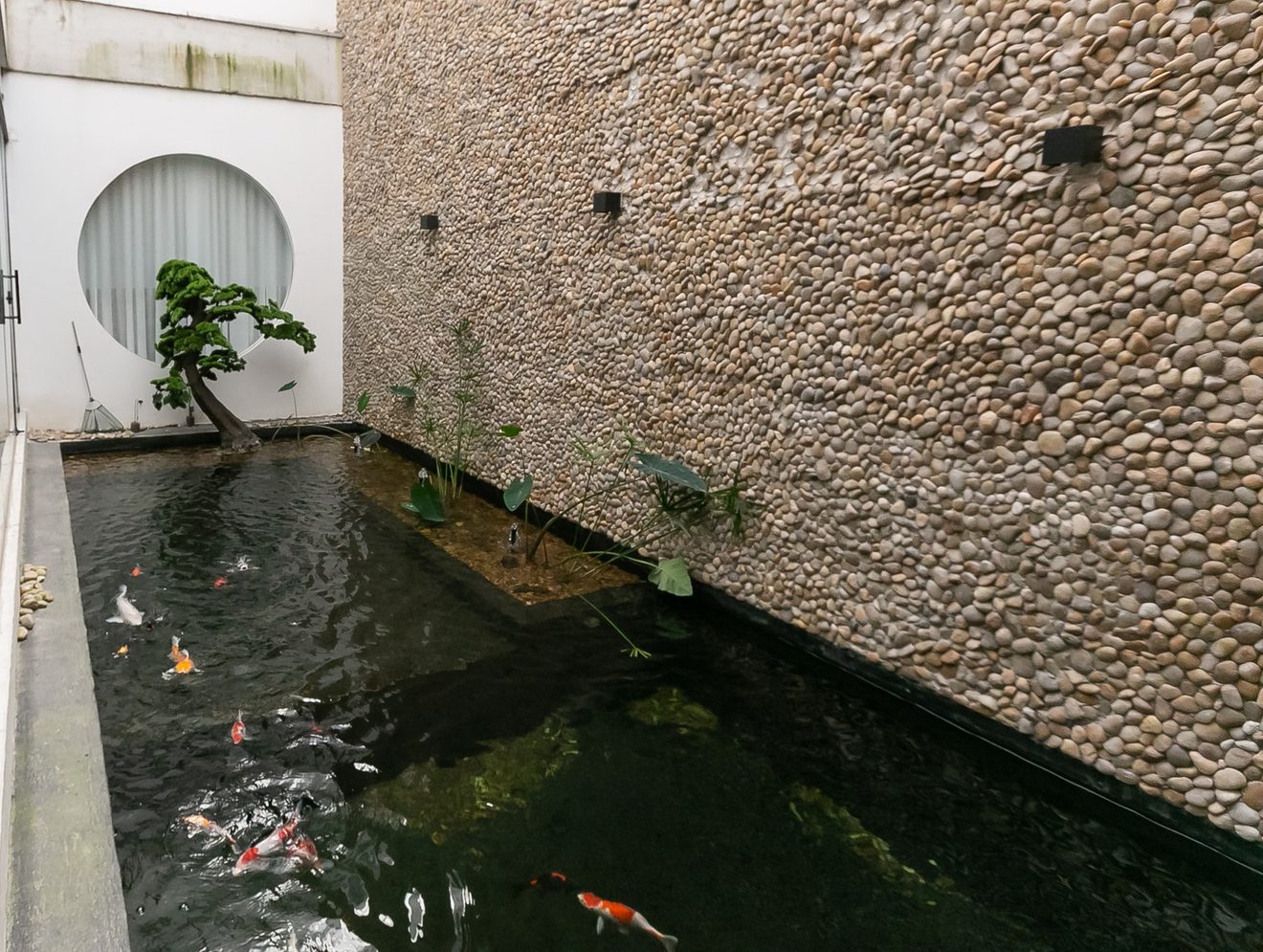 Espelho d'água com carpas ao lado de parede de seixos e janela redonda na clínica