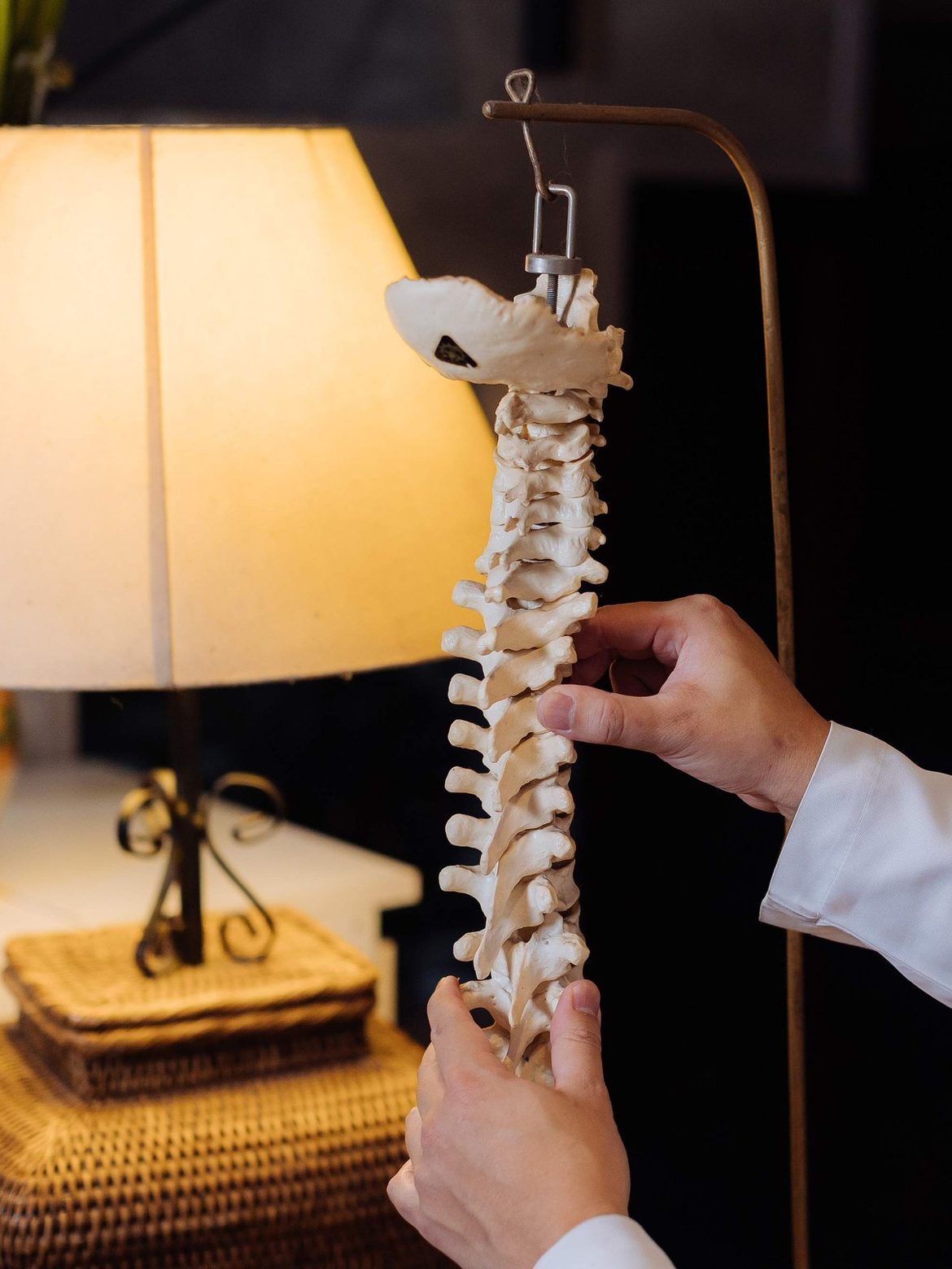 Mãos do médico seguram uma réplica anatômica da coluna vertebral, ao lado de um abajur aceso